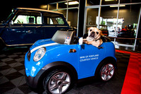 PNWBDR_MiniCooper_IMG_8096