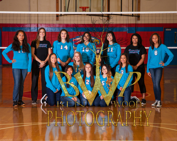 CHS_Volley_2015_IMG_9043
