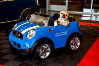 PNWBDR_MiniCooper_IMG_8087