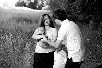 WilliseFam-7113